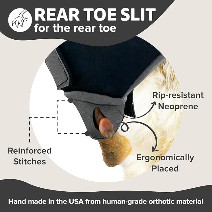 Chicken Shoes for Injured Feet – Protective Neoprene Footwear for Chicken, Open-Toe Design for Bumblefoot Relief, Made in USA (Chicken Shoes, Navy, Medium Chickens)
