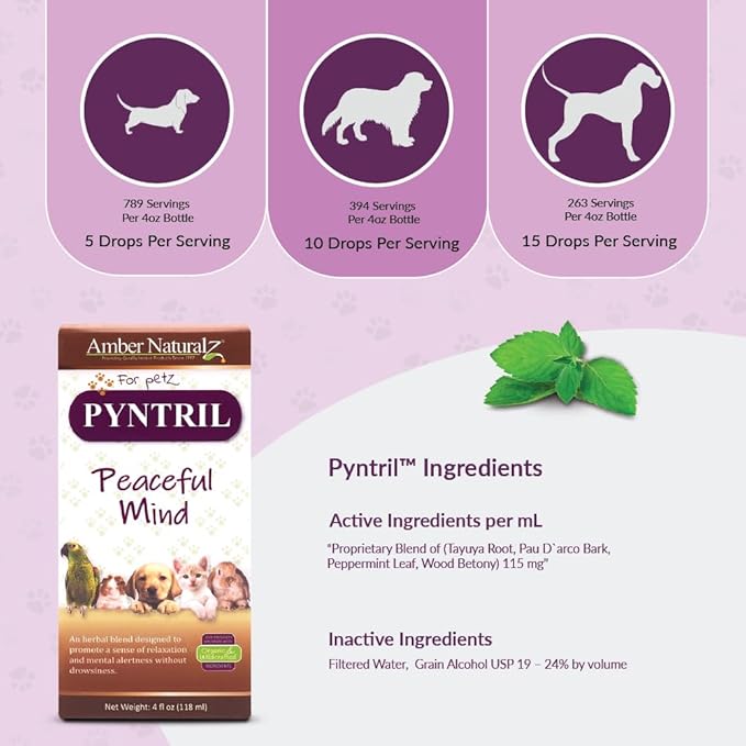 AMBER NATURALZ Pyntril Peaceful Mind Herbal Supplement for Dogs, Cats, Birds, Guinea Pigs, and Rabbits | Herbal Pet Supplement for Relaxation | 4 Fluid Ounce Glass Bottle | Manufactured in The USA