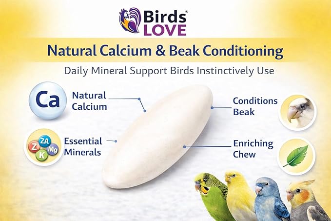 Birds LOVE 3.5-4″ Cuttlebones for Birds – 100% Natural Sun-Dried Calcium & Beak Conditioning Supplement for Parakeets, Budgies, Cockatiels, Finches & Canaries – 2 Pack with Holder – Made in Vietnam