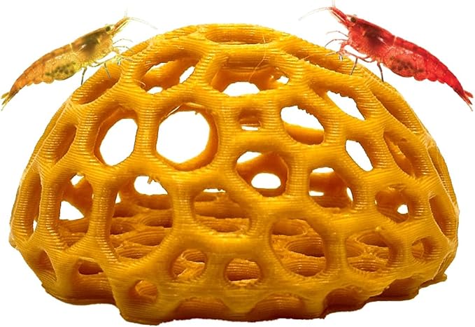 Shrimp Dome Hide - Aquarium Cherry Shrimp Hide - CTWPets Cherry Shimpe Hide (Honey Gold)