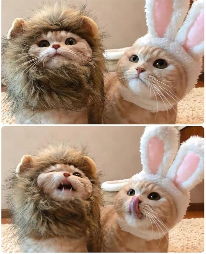 Cat Halloween Costumes - 2 Pcs Lion Mane Wig for Cat & Bunny Rabbit Hat with Ears,Funny Pet Clothes Dress for Halloween,Fits Most Cats(M Size)