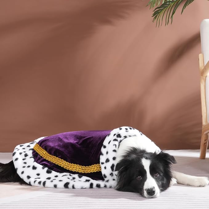 Lovelyshop pet Serial Lux FurPurple Cat Dog Cloak for Halloween Costumes, King Queen Prince and Princess Cosplay- L