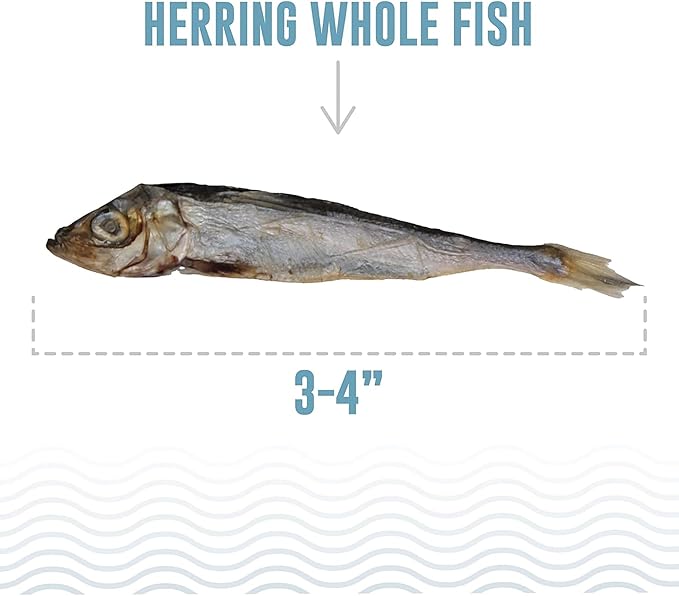 Icelandic+ Whole Fish Herring - 1oz Bag - Cat Treats, Pure Wild-Caught & Air-Dried Pet Chew, Single Ingredient Snack, Just The Fish Nothing Else