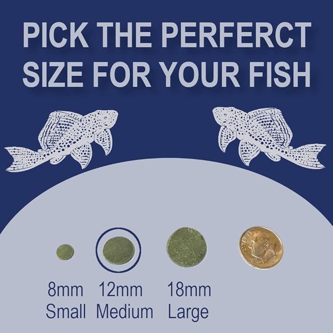 Medium 12mm Algae Wafer - Algae Wafers for Bottom Feeders - The Best Pleco Wafers & Pleco Food Available - Algae Wafers for Snails (8 oz)