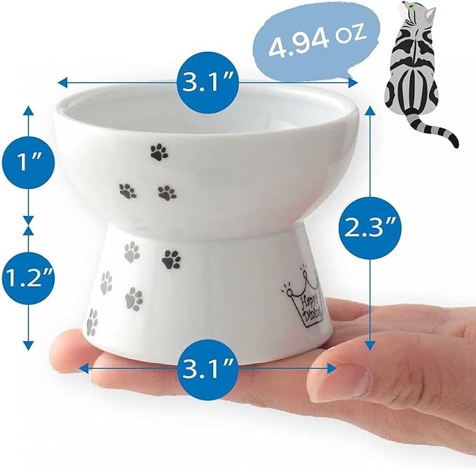 Necoichi Raised Cat Food Bowl – Ceramic Elevated Cat Bowl for Whisker & Neck Fatigue, Dishwasher Microwave Safe – Non-Slip & Anti Vomiting Ergonomic Design (Cats, Mini)