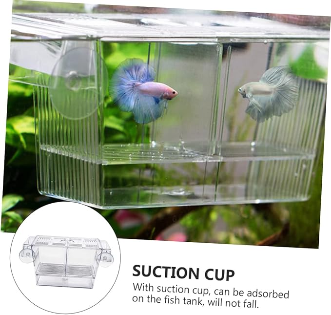 BESPORTBLE Dual-Layer Floating Fish Hatching Box Fish Breeding Container for Betta and Guppy for Fry