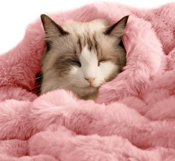 Self-Warming Cat Blanket, Dual-Side Plush Sherpa Throw with Anti-Static, Snuggle Mat for Kittens & Cats, Cozy Bed Topper for Windowsills & Couches, Machine Washable & Dryable, 21x18 Inch Pink