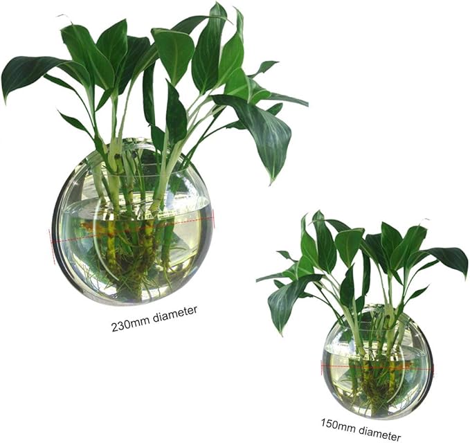 Wall Fish Bowl, Small Hanging Goldfish Fish Tanks, Clear Acrylic Betta Fish Tank, for Aquarium Wall Plant Pot Decoration Planter Flower