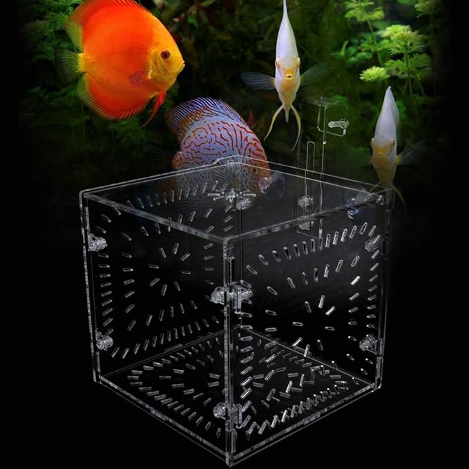 Fish Tank Breeding Box Aquarium Isolation Box Transparent Acrylic Fish Tank Incubation Box for Aggressive Injured Sick Fish Shrimp 15x15x15cm 30x15x15cm 20x20x20cm (15CM*15CM*15CM)