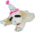 Multipet Lamb Chop Dog Plush Toy w/Birthday Hat - Squeaky Toy for All Dogs - Soft Plush - Stuffed Animal Dog Toys for Playing - Cute Birthday Toy (10.5”, Pink Hat, 5 Squeakers)