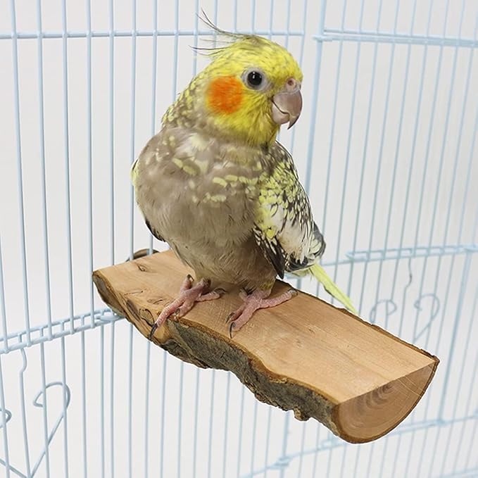 Hamiledyi Wood Bird Perch 4PCS Natural Wooden Stand Platform Parrot Cage Accessories for Budgie Conure Parrot Parakeet Cockatiel Lovebird