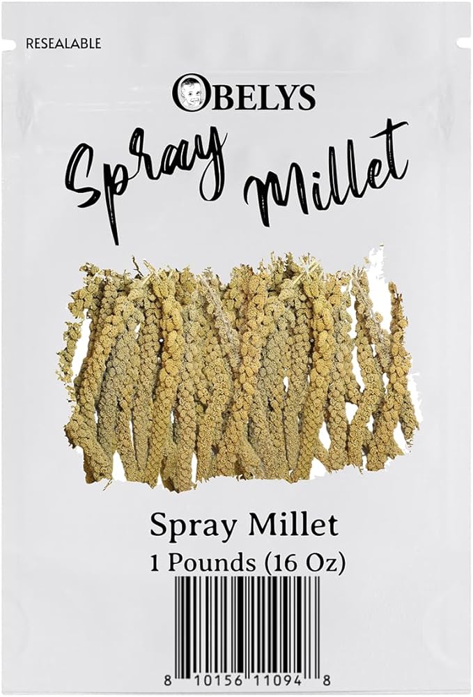 Natural Spray Millet 1lb (Only Edible Tops) Stemless- Non-GMO, Chemical-Free, Hand-Harvested Fresh Treat for Parakeets, Cockatiels, Finches, and Small Pets