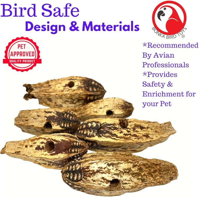 Bonka Bird Toys 3410 Pk6 Drilled Mahogany Pods Foot Talon Craft Part Parrot Toys, Amazon, African Greys, Eclectus, and Similar Breeds