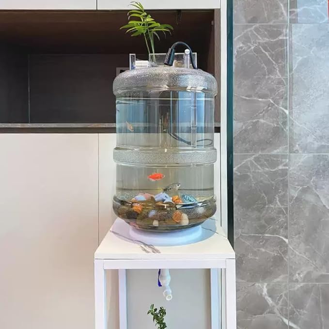 Upcycled Aquarium Kit with Stand - 5 Gallon Fish Tank Starter Kit with Drain Valve & Feeding Port for Easy Cleaning (Iron Stand)