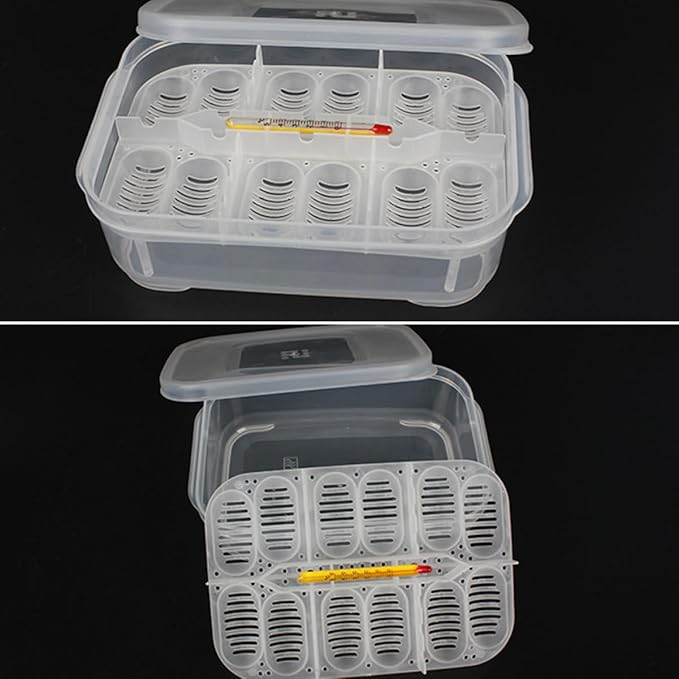 Angoily 2pcs Box Aquarium Breeder Box Incubator for Snakes Lizards Egg Tray Easy to Clean Random Color