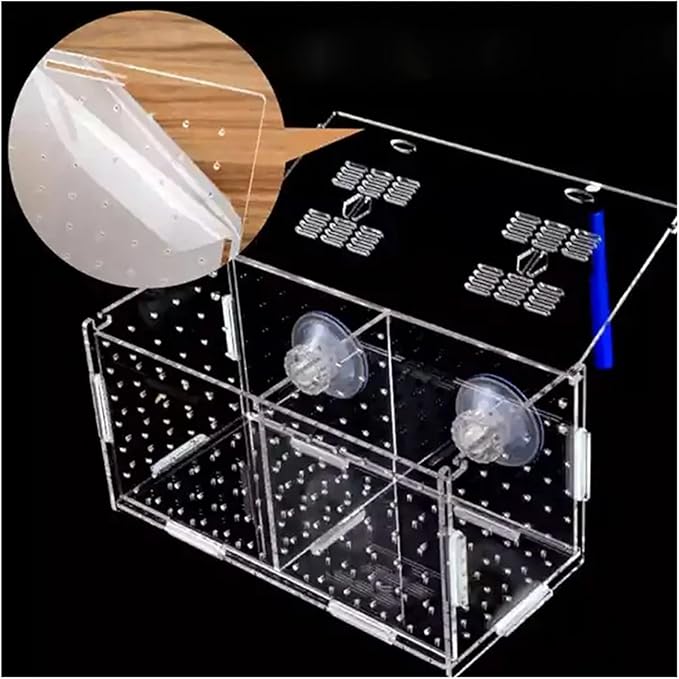 Transparent Acrylic Aquarium Isolation Box - Single & Double Grid Fry Breeding Tank for Fish Hatcheries(Sucker)