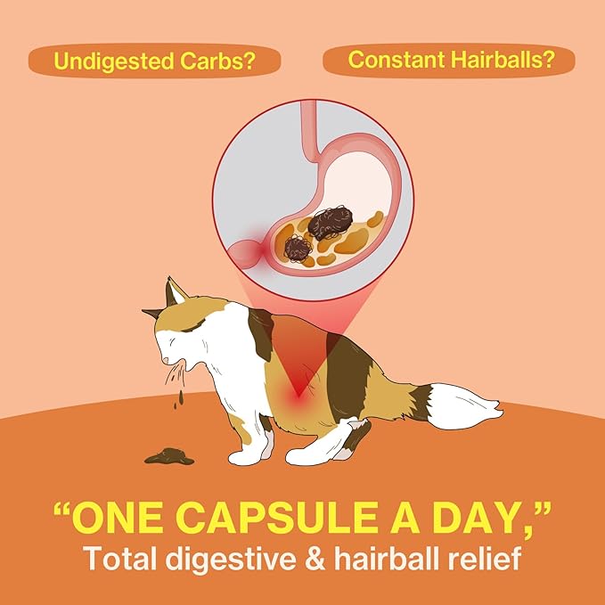 Doctor By Cat Enzyme Swift Cat Digestive Enzyme Supplement Vomiting Diarrhea, Loss of Appetite, Hairball with Pancreatine, Papain, Bromelain, Micro-Size for Easy Swallowing, 60 Sprinkle Capsules