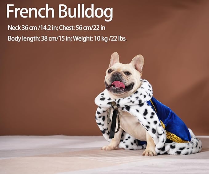 Lovelyshop pet Serial Lux Fur Blue Cat Dog Cloak for Halloween Costumes, King Queen Prince and Princess Cosplay-M/Oversize