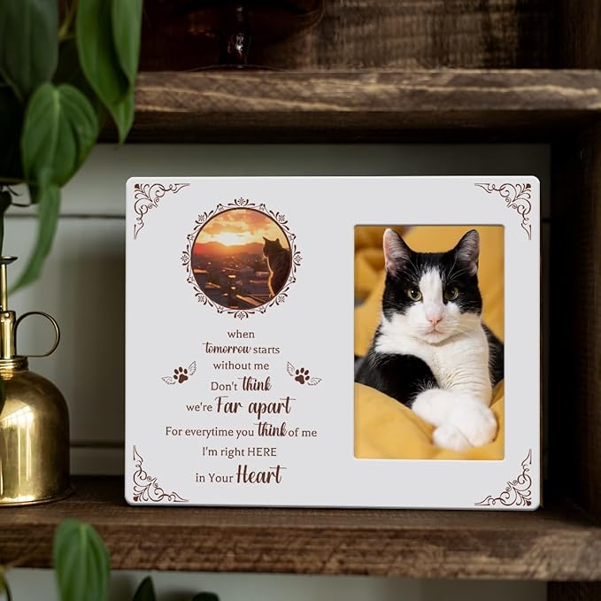 IAXIC Pet Cat Memorial Gifts for Loss of Cat, Sympathy Gift Memorial Picture Frame, Pet Memory Photo Frame, Cat Passing Picture Frames Memorial