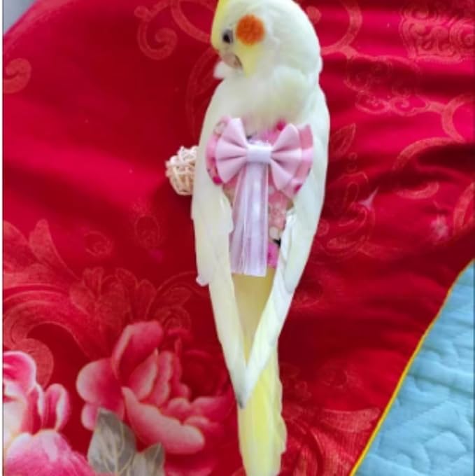 Bird Diaper Cockatiel Clothes Flight Suite, Reusable Parrot Nappy with Waterproof Inner Layer, Cute Pigeon Pants Urine Wet Suit Costume for Conure Macaw (Blue A,L)