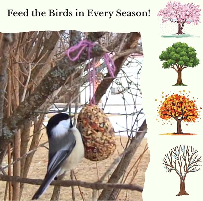 Birdseed Ornaments for Outside - Set of 3 for Wild Birds - Premium Quality - Wild Bird Treats - Egg-Shaped Hanging Birdseed Ornaments