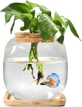 Fish Bowl Glass Small Betta Fish Tank with Bamboo Stand, Plant Propagation Station Hydroponic Terrarium with Lid Small Aquarium 0.6 Gallon