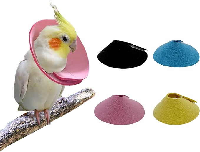 4 Pcs Bird Cone Collar, Pet Parrot Anti-bite Elizabethan Collars, Bird Collars for Feather Plucking for Lovebird Budgerigar Cockatiel Cockatoo Parrots (Mix Colors)