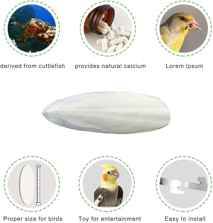 2 Pack Big Cuttlebones for Birds Parakeets Cockatiels African Greys All Parrots Tortoise Snails Animals, 6.3-6.5inch Large Cuttlefish Bones with Holder for Bird Cage