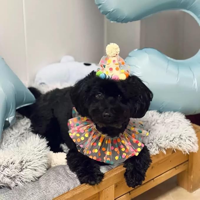 Cat Holiday Costume Hat with Bandana, Cat Hat with Polka Dot Tutu Collar, Pet Outfits for Small Dogs Bunny Birthday Party Decoration, Hat and Bandana Set
