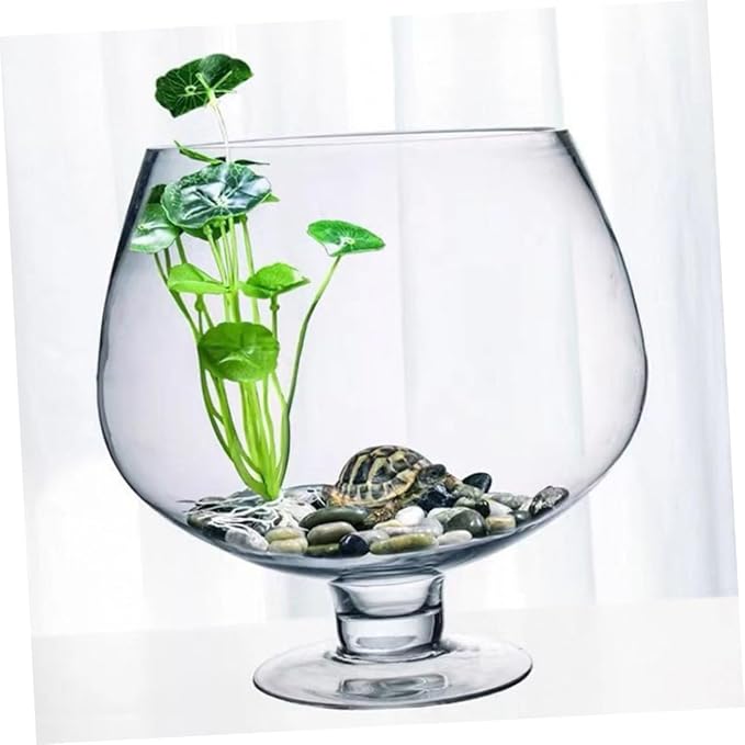 Clear Glass Fish Bowl Vase Capacity Transparent Desktop Aquarium for Fish and Hydroponic Plants Centerpiece for Home Office Decor