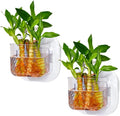 Wall Fish Tank, 2Pcs Wall Plastic Vase, Mini Wall Mounted Fish Tank, Wall Hydroponic Plants, Hanging Hydroponic Plant Pot, Living Room Decoration(2Pcs)