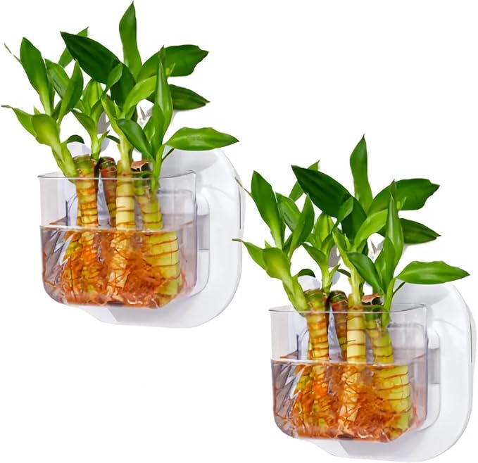 Wall Fish Tank, 2Pcs Wall Plastic Vase, Mini Wall Mounted Fish Tank, Wall Hydroponic Plants, Hanging Hydroponic Plant Pot, Living Room Decoration(2Pcs)