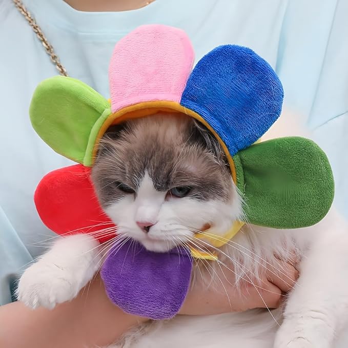 2 Pcs Halloween Cat Adorable Costume Funny Cat Hat for Pets and Small Dogs Party Costume Accessory Headwear(Sunflower, Banana)