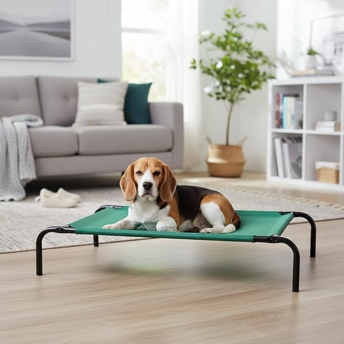 Amazon Basics Cooling Breathable Elevated Dog Bed with Metal Frame for Medium Dogs, 43 x 26 x 7.5 Inch, Green