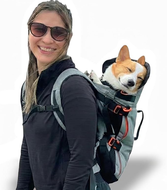 Maxine One Dog Backpack Carrier for Medium Dogs by Little Chonk | Adjustable & Ergonomic Front Facing Dog Carrier Backpack | Bult to be Safer | Pet Backpack Carrier, Featured in Wired Magazine - Gray