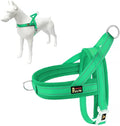 Plutus Pet No Pull Dog Harness with Breathable Mesh Padded, Adjustable Reflective Escape Proof Dog Harness, Quick Fit Dog Vest Harness for Small Medium Large Dogs(M, Green)