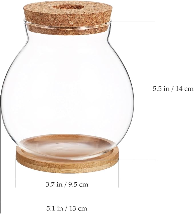 Milisten Desktop Fish Tank Small Glass Bowl with Wood Lid and Bamboo Cushion Hydroponic Plant Terrarium Betta Fish Aquarium for Home Office Decoration