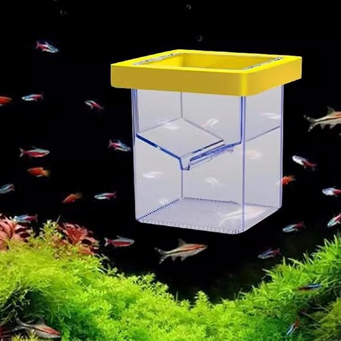 Fish Tank Breeder Box – Suction Cup Isolation Container | Divider Hatchery Unit for Acclimating Raising Fry, Aquarium Setup Accessory for Separating Injured or Aggressive Aquatic Species