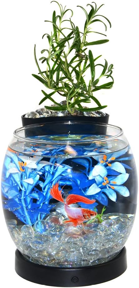 Elive Betta Fish Bowl / Betta Fish Tank with Planter, Small 0.75 Gallon Aquarium, LED Light Timer, Black