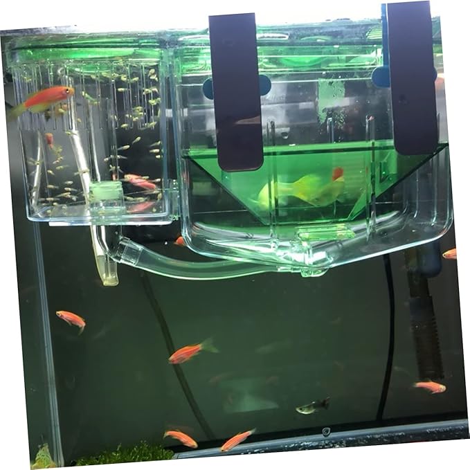 Happyyami Self-Guided Incubator Box for Fish Breeding Transparent Isolation Tank Safe Environment for Juvenile Fish Protects Against and Improves Survival Rates