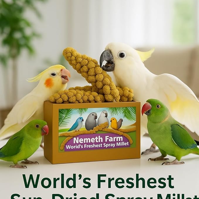 Nemeth Farms 25lbs Premium Spray Millet for Exotic Birds – Grown in The USA – 100% Natural & Non‑GMO Bird Treat – Sun‑Dried Millet for Parakeets, Conures, Cockatiels, Parrots & Budgies