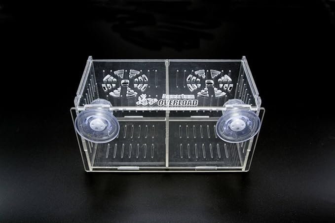 Clear Acclimation Box 8x4x4