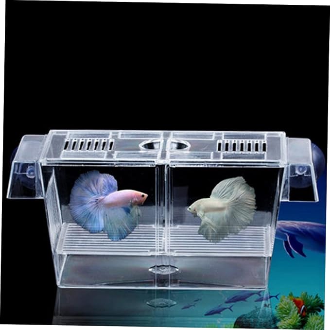 POPETPOP Aquarium Fish Breeding Incubator Box Floating Hatchery for Fish Large Acrylic Cover