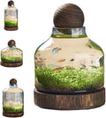 Glass Aquarium Fish Tank Plant Terrarium Bowl Micro Ecological Landscape Self-circulating Plant Vase Desktop Planter Jars Breeder Box, A