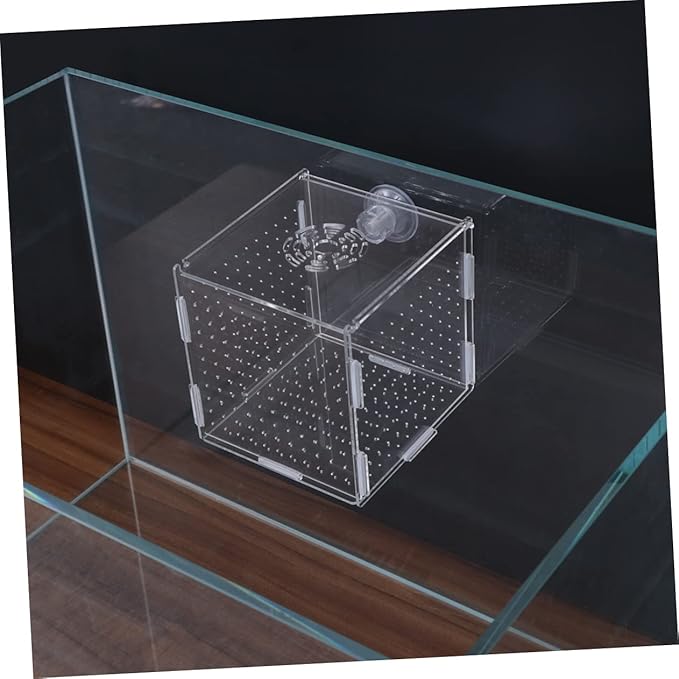 Mikikit Transparent Acrylic Fish Tank Breeding Isolation Box Multifunctional Hatching Incubator for Guppies Bettas Fish with Suction Cup Design