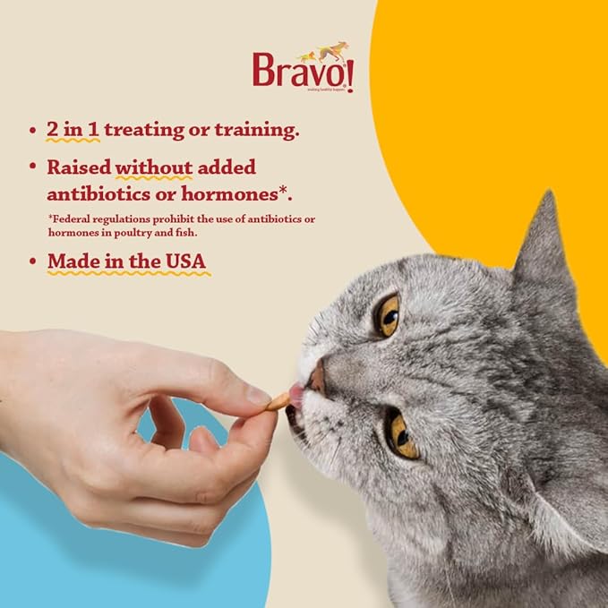 Bravo! Healthy Bites Single Ingredient Freeze Dried Raw Cat Treats, Salmon, 1 Ounce, High Protein, Grain Free, Gluten Free