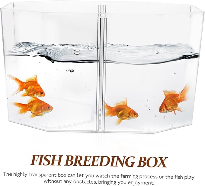 Box Transparent Fish Breeding Tank Clear Incubation Box with Dual Compartments for Isolation and Observation Safe Material Easy to Clean for Goldfish Care