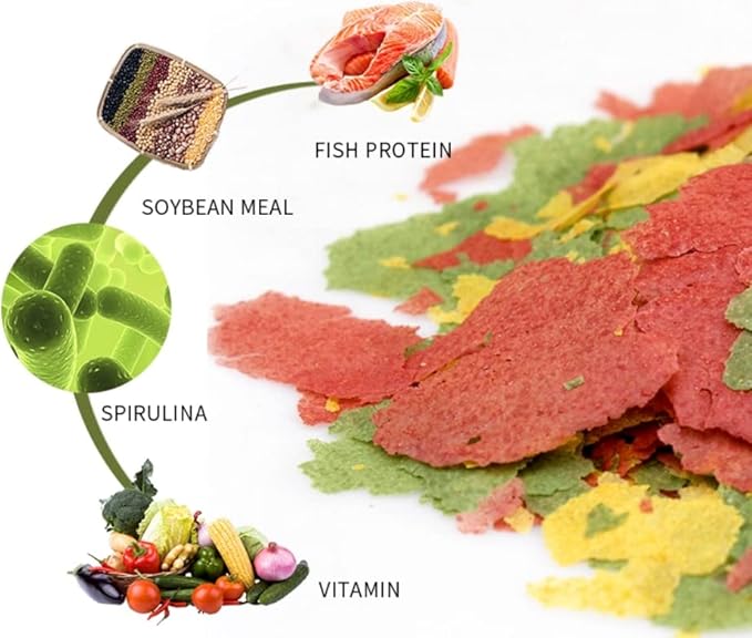 A Lot'l Axolotls Tropical Fish Flakes - Colour Enhancing - High Protein - Staple Food - 60g / 2 Oz