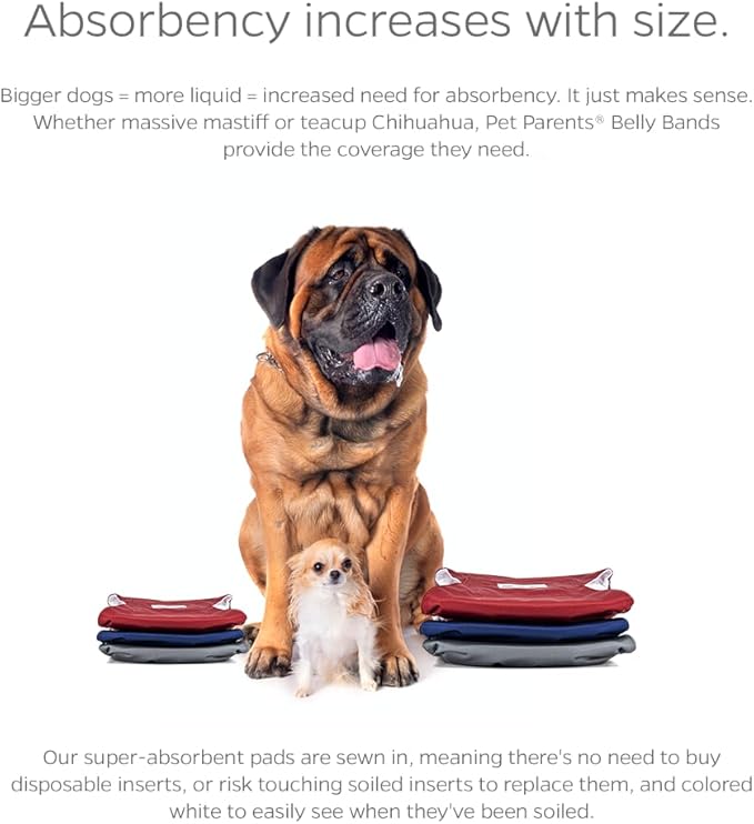Pet Parents® Washable Belly Bands for Male Dogs (3pack) + Extendrs® of Durable Dog Diapers Male, Premium Male Dog Diapers & Dog Wraps (Large, Kingsmen)