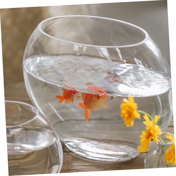 Flat Fish Tank Hydroponic Planter Glass Aquarium Glass Hydroponic Bowl Vase Water Plant Vase Betta Tank Fish Supplies Accessories Betta Household Products